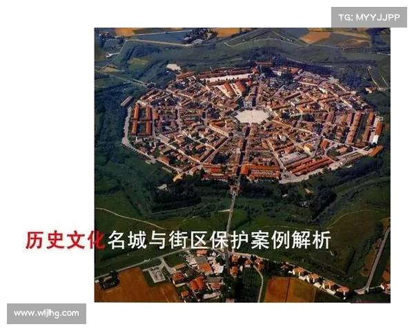 兵俑作为中华文化象征的历史深意与文化传承探讨 兵俑作为中华文化象征的历史深意与文化传承探讨