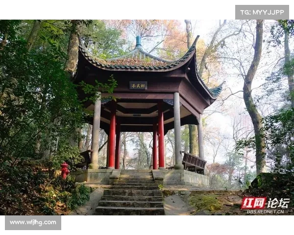 东超的含义与起源解析 全面解读背后的历史与文化背景 东超的含义与起源解析 全面解读背后的历史与文化背景